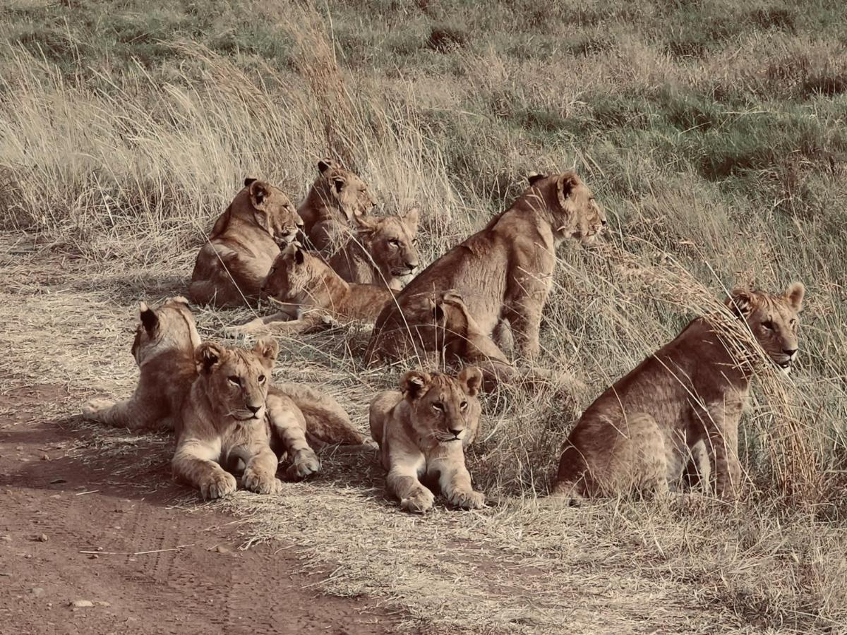 Fig Tree Camp - Maasai Mara Hotel Talek ภายนอก รูปภาพ